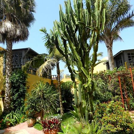 Dar Beldi Bed & Breakfast Оалидия Екстериор снимка