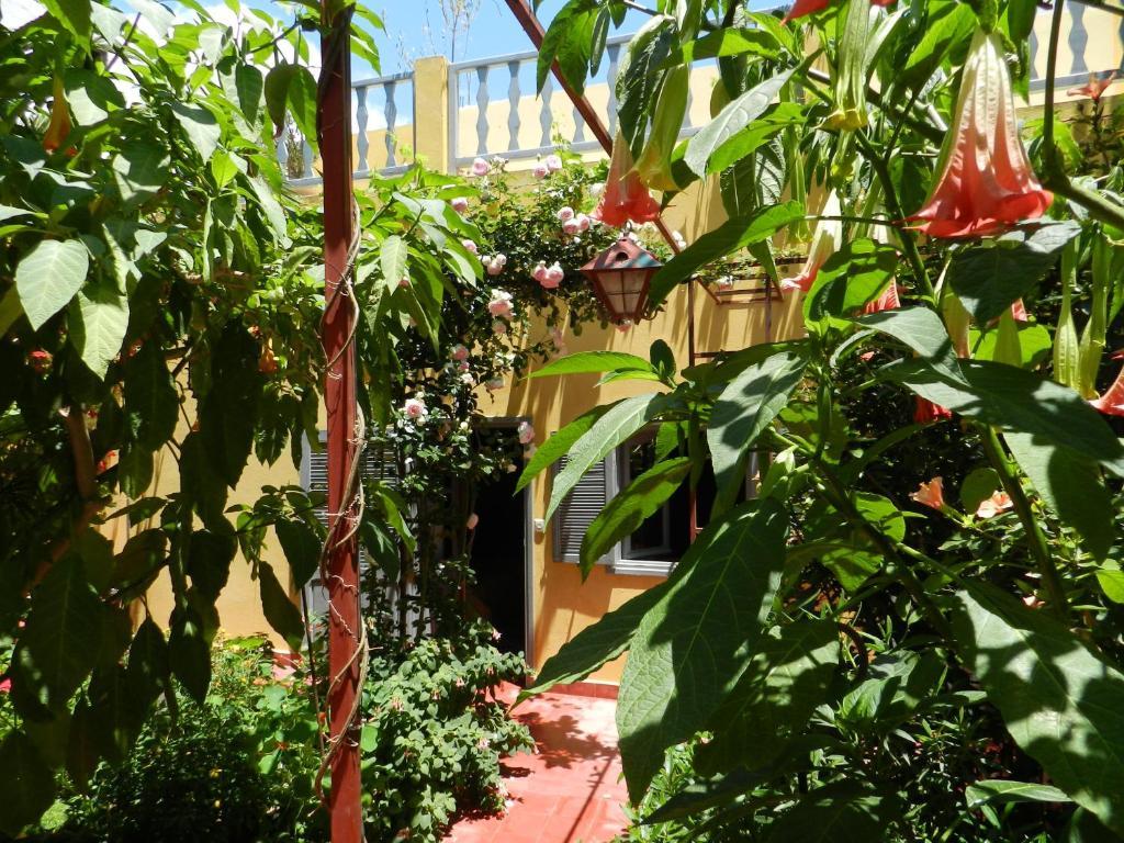 Dar Beldi Bed & Breakfast Оалидия Стая снимка